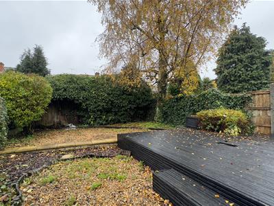 Picture 24